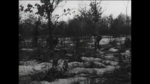 Белый март (остров Даманский).