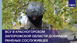 ВСУ в Красногорском Запорожской области добивали раненых сослуживцев