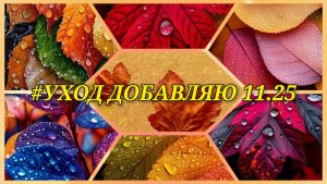 #УХОД ДОБАВЛЯЮ НОЯБРЬ 🍃