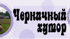 ЧЕРНИЧНЫЙ ХУТОР 1.11.2025 ( новинка ) , Лесная Жизнь , Хутор в Лесу , Черничники