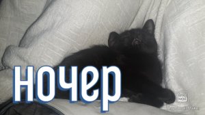 Приперло именно ночью