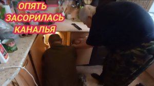 1/11 25 МИНУС, НО ТЕПЛО. ПАСМУРНО, НО ВЕСЕЛО. У ОДНОЙ НЕ ХВАТАЕТ СИЛ - ДРУГОМУ НЕ ЗАЛЕЗТЬ.