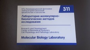 В лаборатории молекулярно-биологических методов в исследованиях 20251030_192410