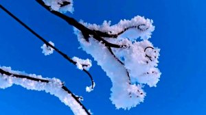 «Краски ноября» - Красивая песня на стихи Лидии Тагановой