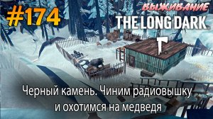 Черный камень. Чиним радиовышку и охотимся на медведя | The Long Dark #174