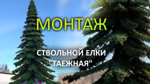 Монтаж ствольной елки "Таежная"
