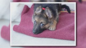 Мой целый мир