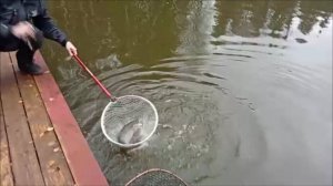 Утро на спорт-зоне. Клёвое место Лосиный остров.