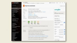 Полезные советы: 1СПАРК Риски