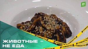 Животные – не еда. Как живут челябинские веганы?