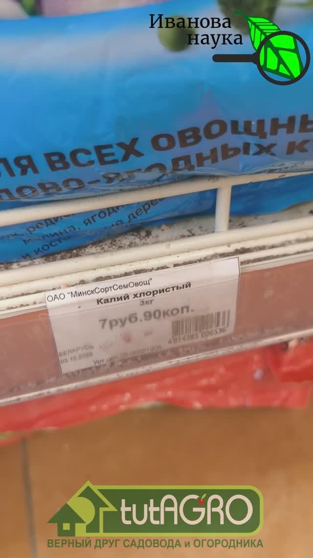 САМЫЕ ДЕШЕВЫЕ УДОБРЕНИЯ: стоит копейки, а польза о-го-го!