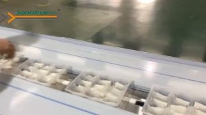 Флоупак машина SZ-280