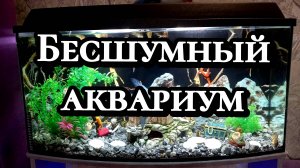 КАК МЫ СДЕЛАЛИ БЕСШУМНЫЙ АКВАРИУМ. ДЕЛИМСЯ СВОИМ ОПЫТОМ.