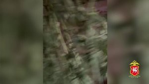 В Симферополе осудят  жителя, который признался, что хранил 21 кг марихуаны в лечебных целях