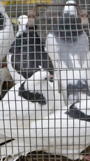 Луганск 01.11.25 г.