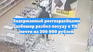 Задержанный росгвардейцами дебошир разбил посуду в ТЦ почти на 200 000 рублей