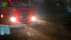 ❄️😍В Ульяновске пошел снег?