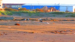 Море...любовь на всю жизнь