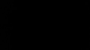 1315 FF0615  FORD Focus II 2005-2008