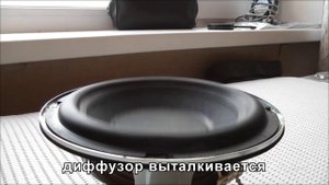 Динамик мод