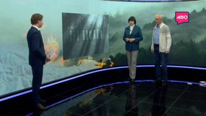 Светлана Кочергина и Алексей Краснов – о документальном фильме "Лес памяти"