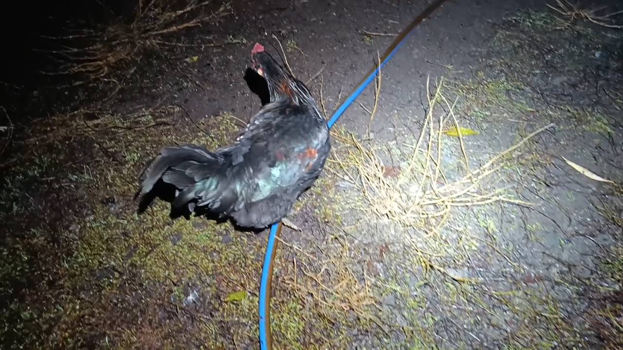 Инсульт смотреть онлайн