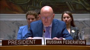 Statement by Vassily Nebenzia at UNSC Briefing on Bosnia and Herzegovina
