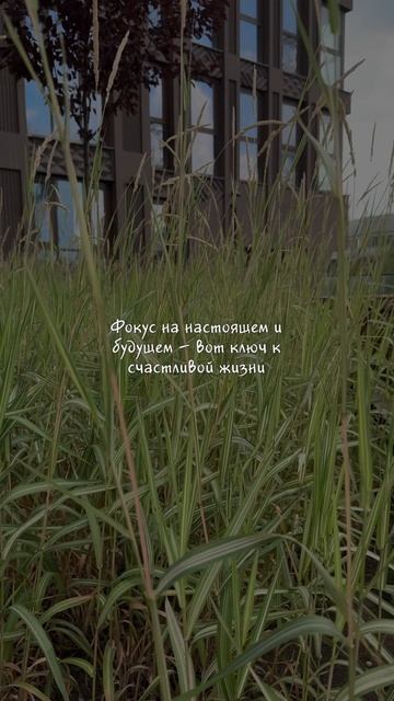 Быть взрослым — это не перестать падать. Это научиться вставать с самоиронией