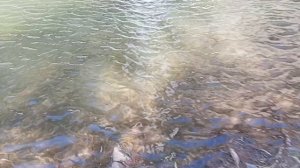 ОКИНСКАЯ ДОЛИНА