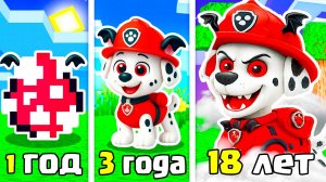 КАК МЕНЯЛСЯ МАРШАЛ ВАМПИР ЩЕНЯЧИЙ ПАТРУЛЬ ЭВОЛЮЦИЯ В МАЙНКРАФТ