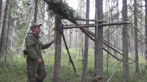 Охота на куницу капканами / Заряжаю малый путик