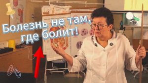 Болит живот, а причина совсем в другом месте!