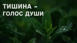 Как говорит душа? Тишина, в которой слышно всё