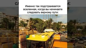 Именно так подстраивается Вселенная.mp4