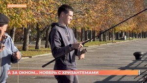 А за окном. 1 ноября 2025