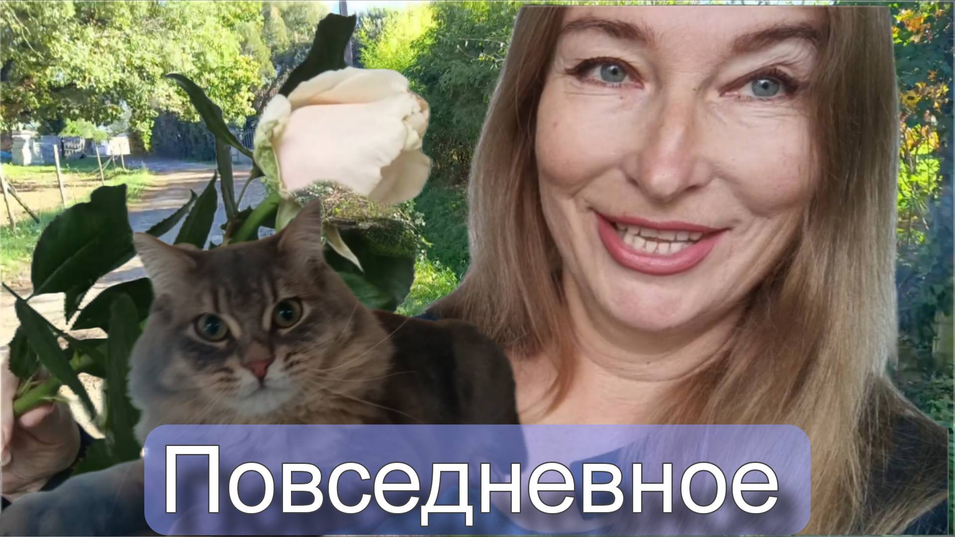 Посылочки, поездочки, котики. Моя Франция.