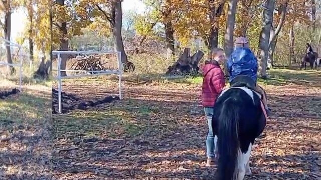 Конный клуб "Аллюр"