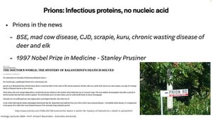 Virology Lectures 2024 #24 Unusual infectious agents