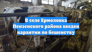 В селе Ермоловка Пензенского района введен карантин по бешенству