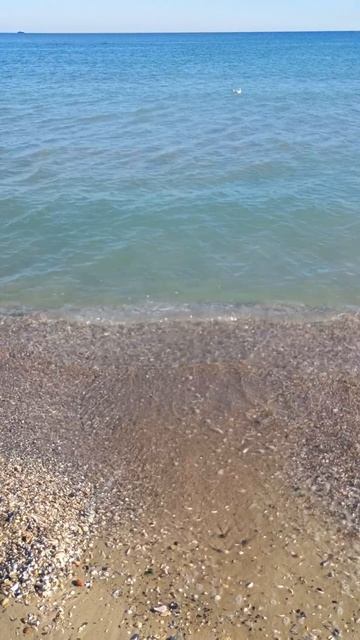 Соленый запах моря