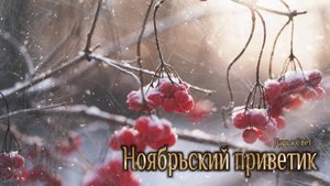 Нескучный сад. Белочки. Фазаны. Река Москва. Осенний день в парке. Осень 2025