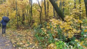 Краеведческий десант в селе Подмаслово