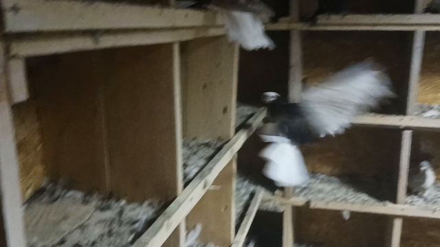 ЛНР Первомайск