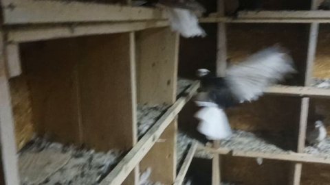 ЛНР Первомайск