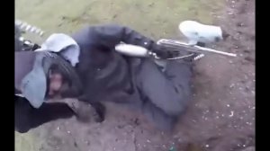 Попробуй не засмеяться(1)