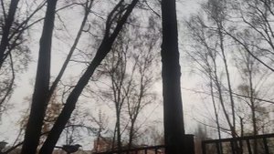 1 11 25 год..вот и наступил последний месяц осени и он будет таким...