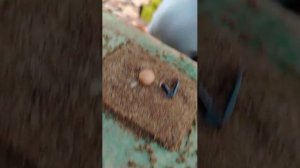 Делаем пирожки 🥧🥧🥧