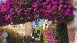 НИЦЦА - САМЫЙ КРАСИВЫЙ СРЕДИЗЕМНОМОРСКИЙ ГОРОД В МИРЕ - ГОРОД МИЛЛИОНЕРОВ!