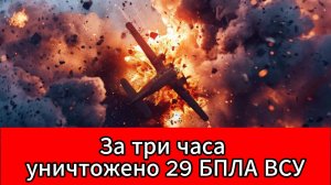 Системы ПВО России за 3 часа сбили 29 беспилотников ВСУ
