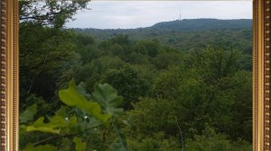 ПРИРОДА  БУКОВИНИ